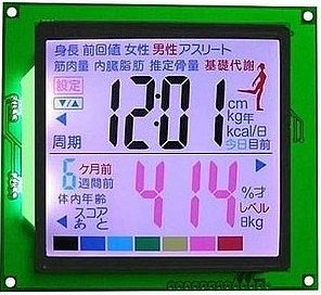 Physiotherapy instrument LCD